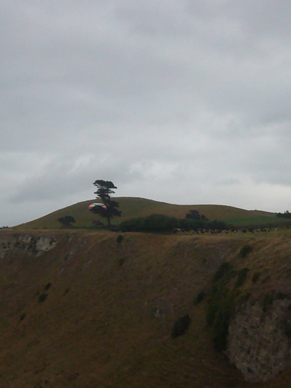 Travel - New Zealand - Kaikoura Again
